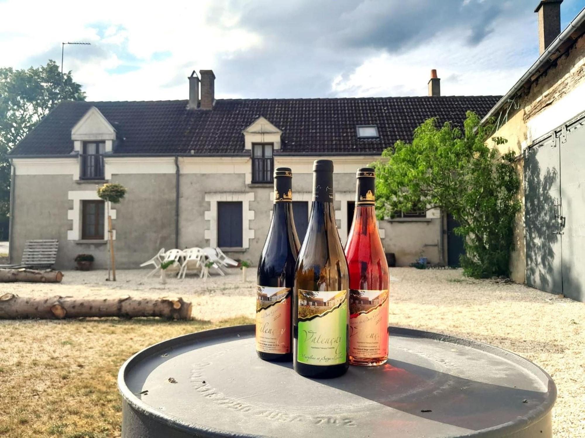 Villa Coco 9 Personnes Jardin Proche Beauval Lye Eksteriør bilde